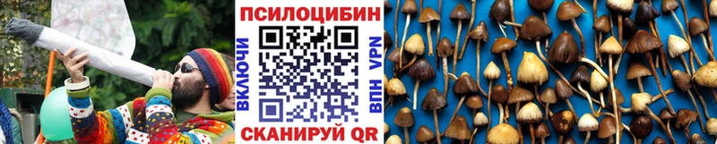 Псилоцибиновые грибы мухоморы Приволжский