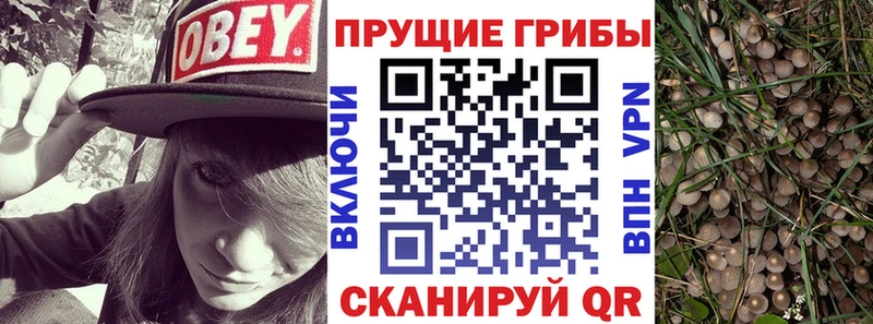 Галлюциногенные грибы мухоморы  Приволжский 